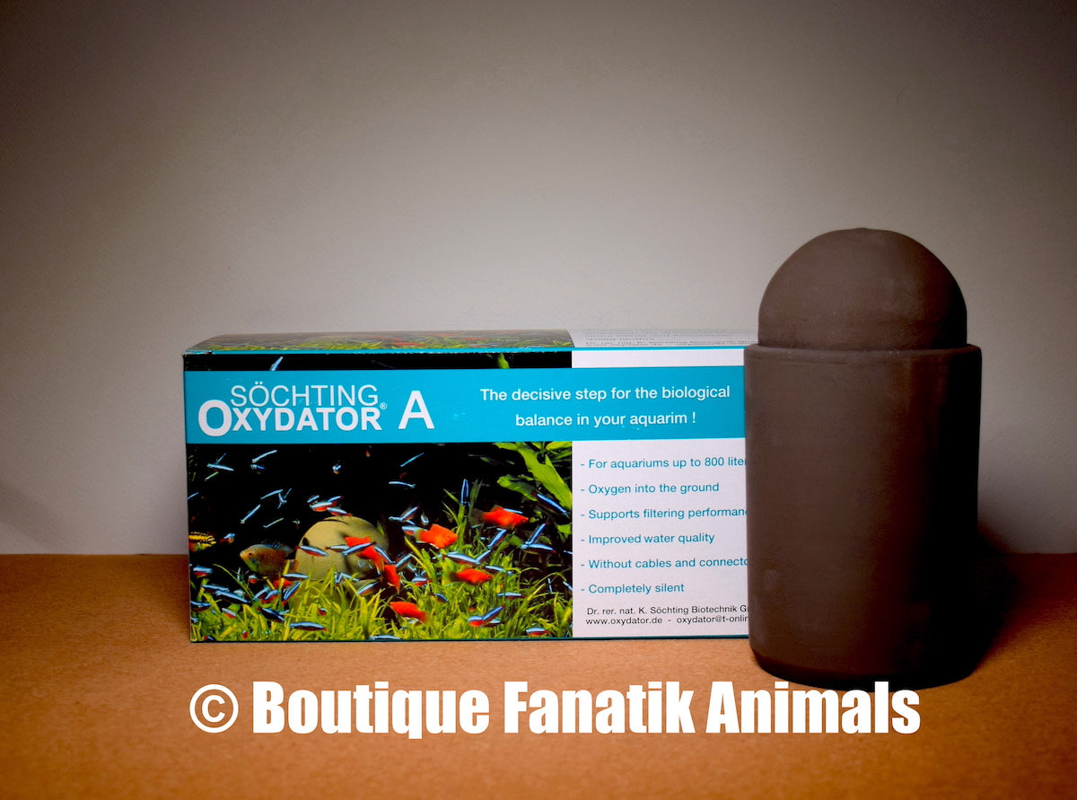 Oxydator A - Oxygène Aquarium jusque 400 litres – Fanatik animals