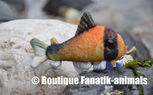 Charger l'image dans la galerie, Peluche Corydoras metae