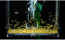 Charger l'image dans la galerie, NURSERIE AQUARIUM Ziss EZ Breeder BL-2T