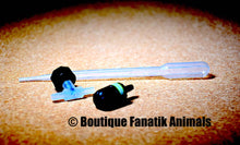 Charger l'image dans la galerie, Accessoires Éclosoir pour Artemia ZISS BLENDER ZH-2000