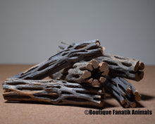 Charger l'image dans la galerie, Cholla wood crevette