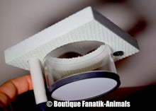 Charger l'image dans la galerie, Couveuse aquarium filtrée Fanatik-Animals