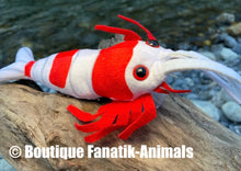 Charger l'image dans la galerie, Crevette red crystal