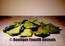 Charger l'image dans la galerie, Feuilles de murier sauvages pour crevettes caridina