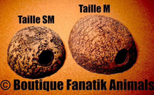 Charger l'image dans la galerie, Grotte de frai cachette céramique pour poisson taille SM et M