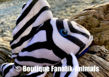 Charger l'image dans la galerie, Hypancistrus L46