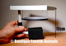 Charger l'image dans la galerie, PONDOIR aquarium flottant XL filtre rond Fanatik-animals