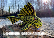 Charger l'image dans la galerie, Poisson ventouse Panaque nigrolineatus