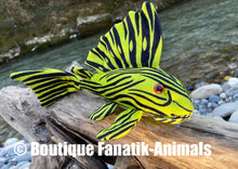 Charger l'image dans la galerie, Poisson ventouse Panaque nigrolineatus pleco royal