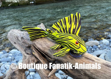 Charger l'image dans la galerie, Poisson ventouse peluche Panaque nigrolineatus