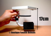 Charger l'image dans la galerie, Pondoir aquarium flottant et filtre taille M rond