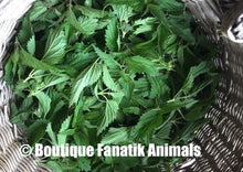 Charger l'image dans la galerie, Têtes feuilles orties pour crevettes récoltées a la main