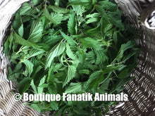 Charger l'image dans la galerie, feuilles orties pour crevettes France