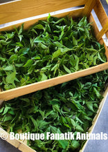 Charger l'image dans la galerie, Tetes orties pour crevettes Fanatik Animals