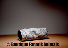 Charger l'image dans la galerie, Tube de ponte Ancistrus imitation pierre 15 cm