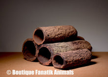 Charger l'image dans la galerie, Tubes de ponte Nature pour Loricariidae en terre cuite