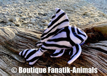 Charger l'image dans la galerie, Zebra pleco L46