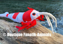 Charger l'image dans la galerie, crevette aquarium eau douce