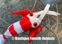 Charger l'image dans la galerie, crevette aquarium red crystal