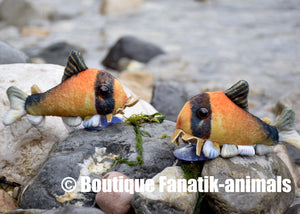 Reproduction Corydoras metae peluche
