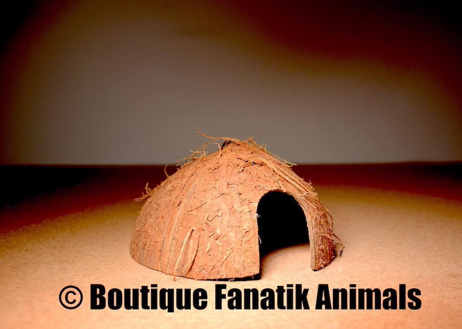 Demi noix de coco pour aquarium Fanatik Animals