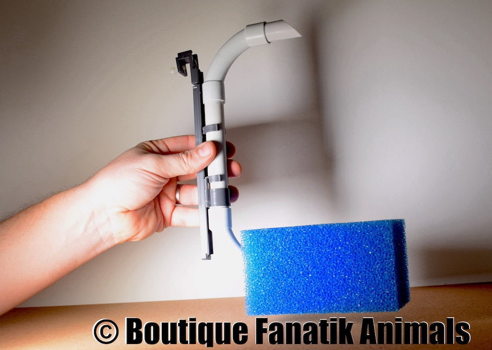 FILTRE EXHAUSTEUR AQUARIUM Taille 2 mousse bleue – Fanatik animals