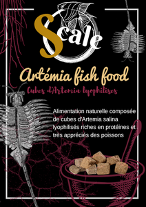 Artemia salina fish food SCALE 50gr