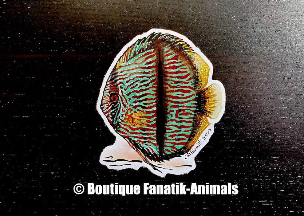 Sticker autocollant poisson aquarium Discus Heckel