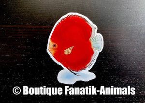 Sticker autocollant poisson aquarium Discus Red Golden Diamond