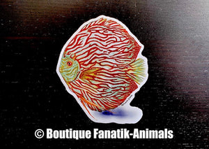 Sticker autocollant poisson aquarium Discus turquoise striped