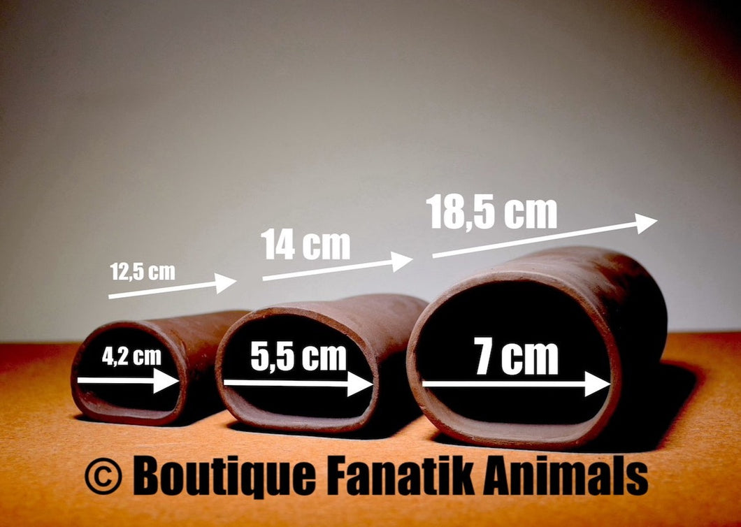 Tube de ponte pour loricariidae en terre cuite boutique Fanatik Animals