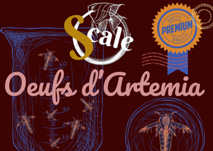 Nourriture alevin Oeufs Artemia salina 50gr Scale